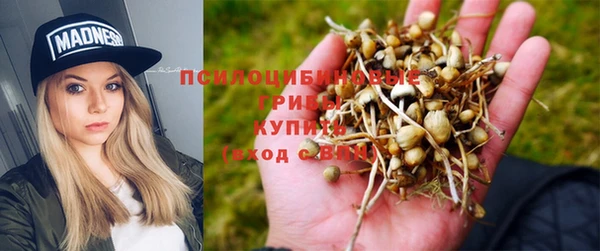 метадон Касимов